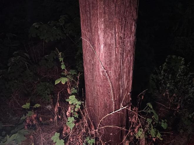 x小魔方头灯体验让你爱不释手！冰球突破技巧超轻超能！Feni(图20)