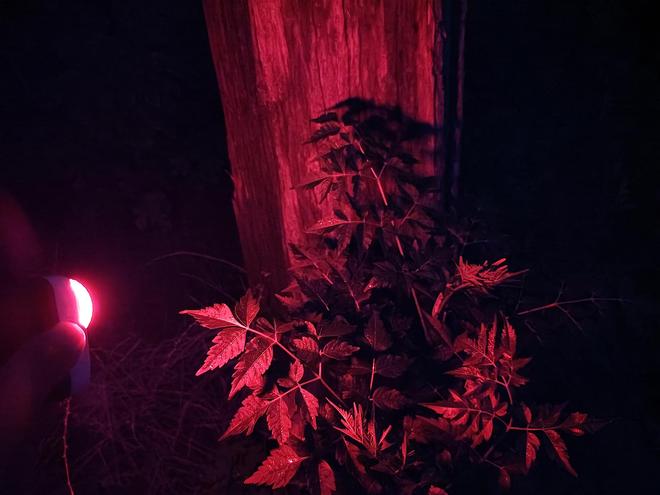 x小魔方头灯体验让你爱不释手！冰球突破技巧超轻超能！Feni(图21)